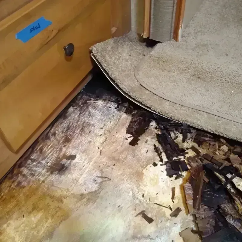 Wood Floor Water Damage in Adrian, MN